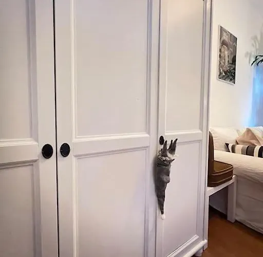 «breakfast At Tiffany's»